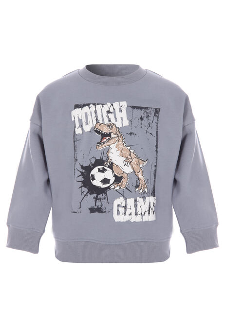 Younger Boys Blue Dinosaur Football Sweatshirt