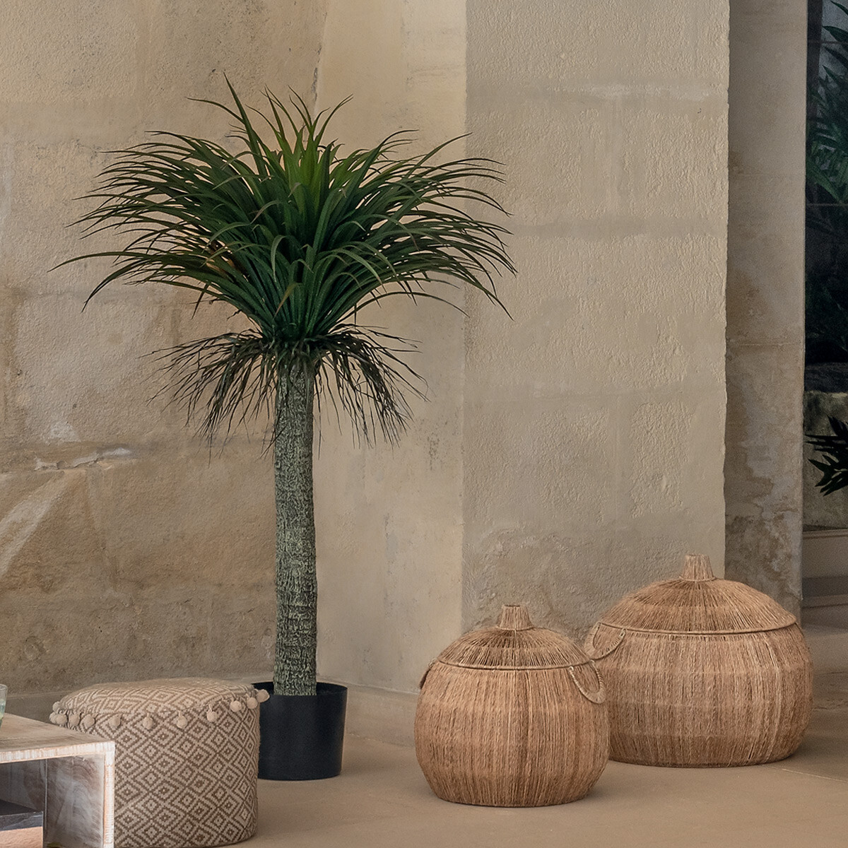 Artificial yucca "Tropics" H.150 cm