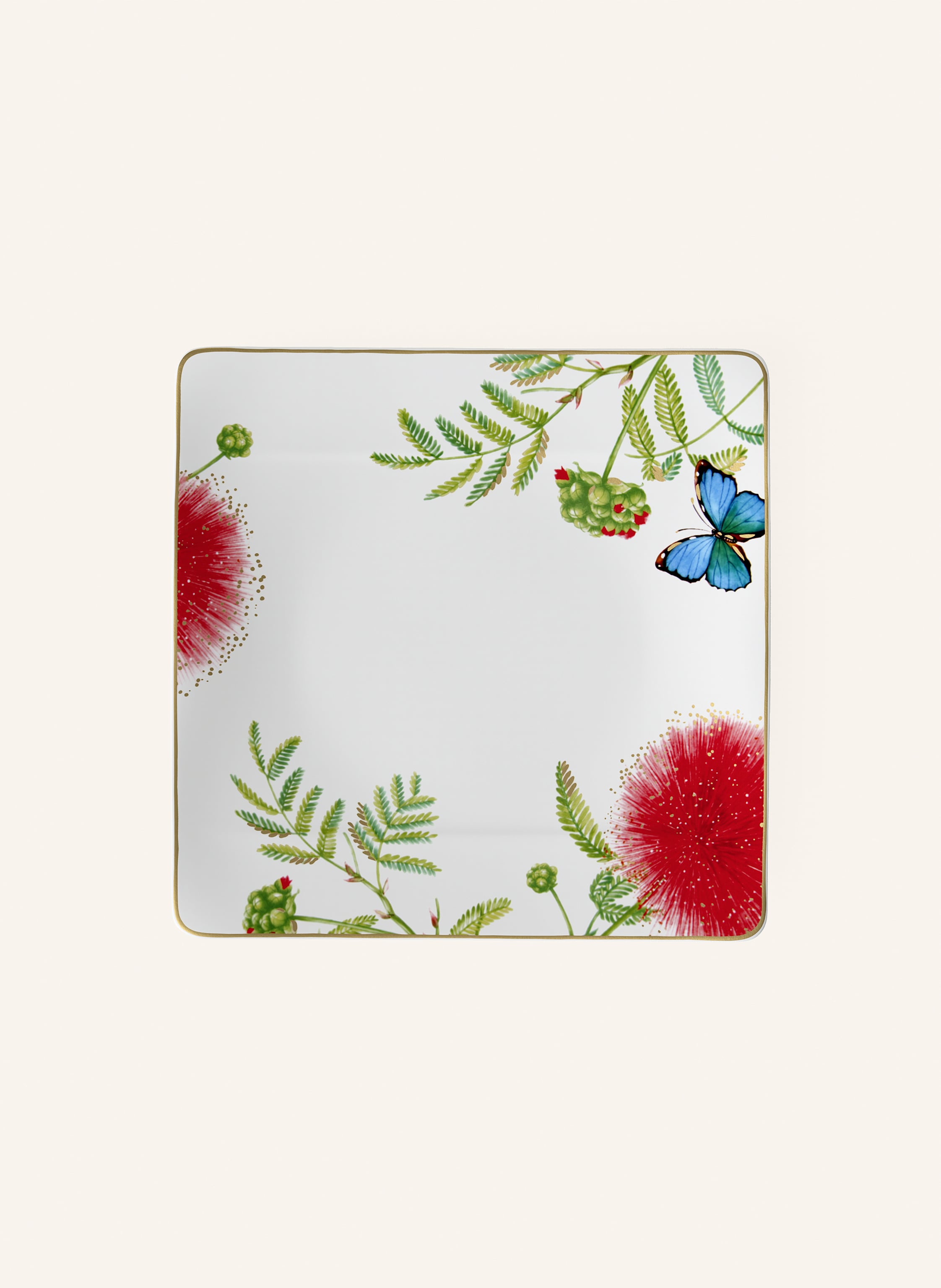 Villeroy & Boch Speiseteller AMAZONIA