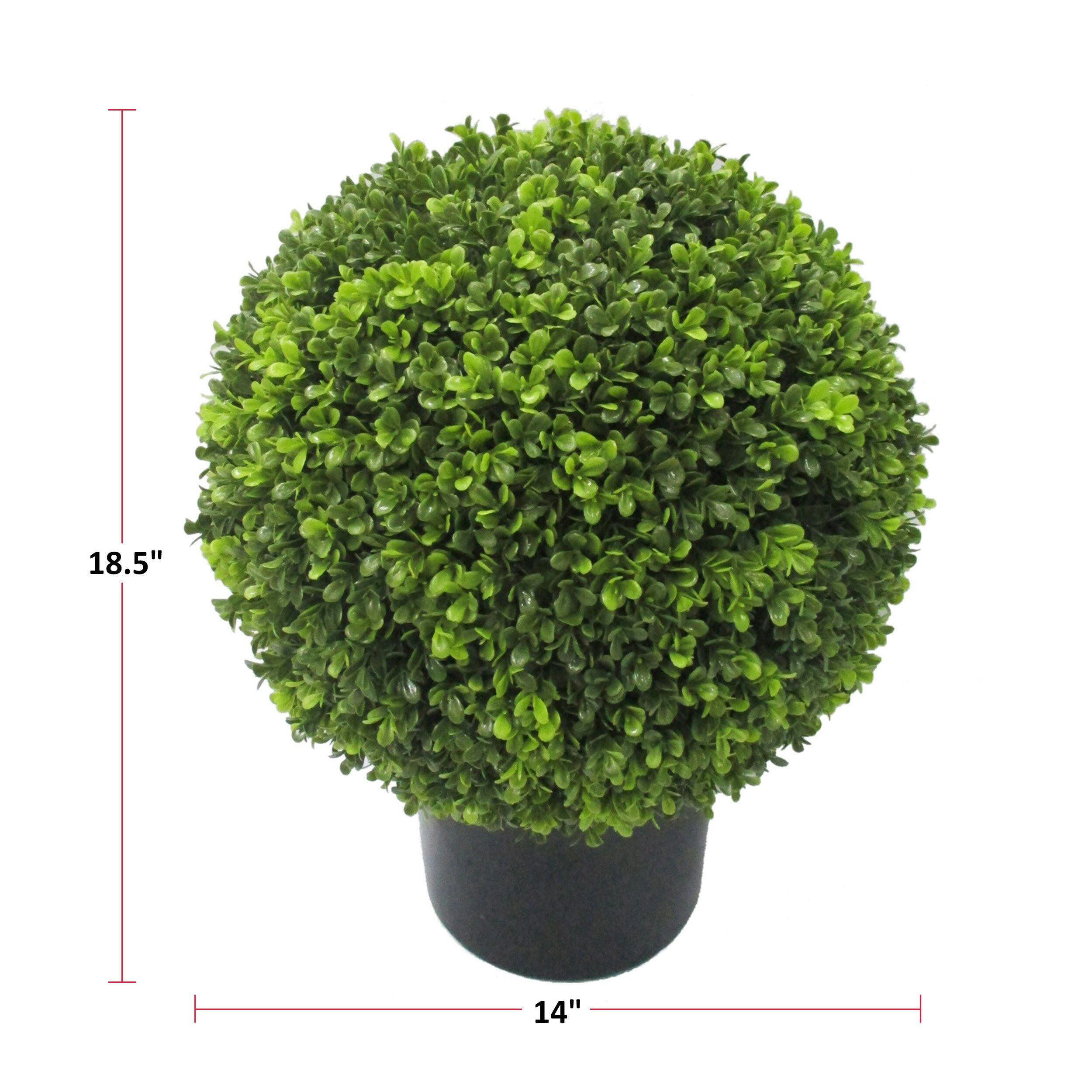 CANVAS Artificial Indoor Boxwood Ball Tree in Black Plastic Pot, 18.5-in