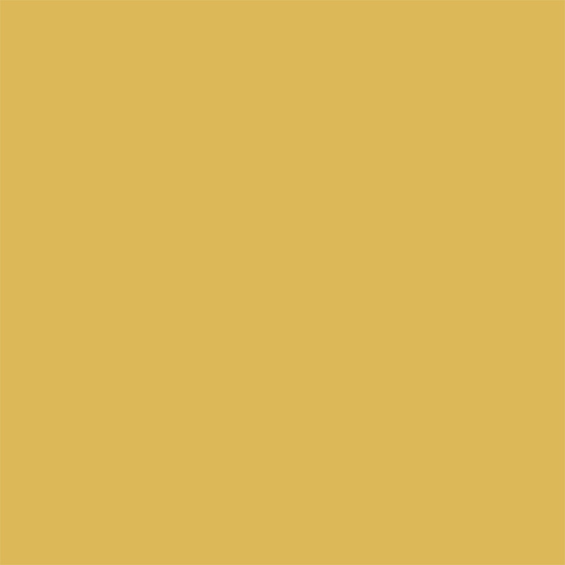 Peinture pour murs Colorissim jaune moutarde mat 2,5 L V33