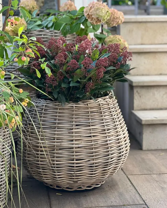 Gartentopf Drypot Tina