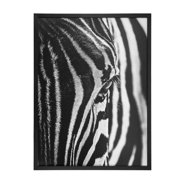 QUADRO 83 CM X 63 CM ZEBRADO