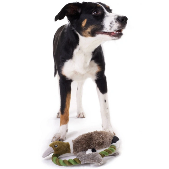 Hundespielzeug, mehrfarbig
