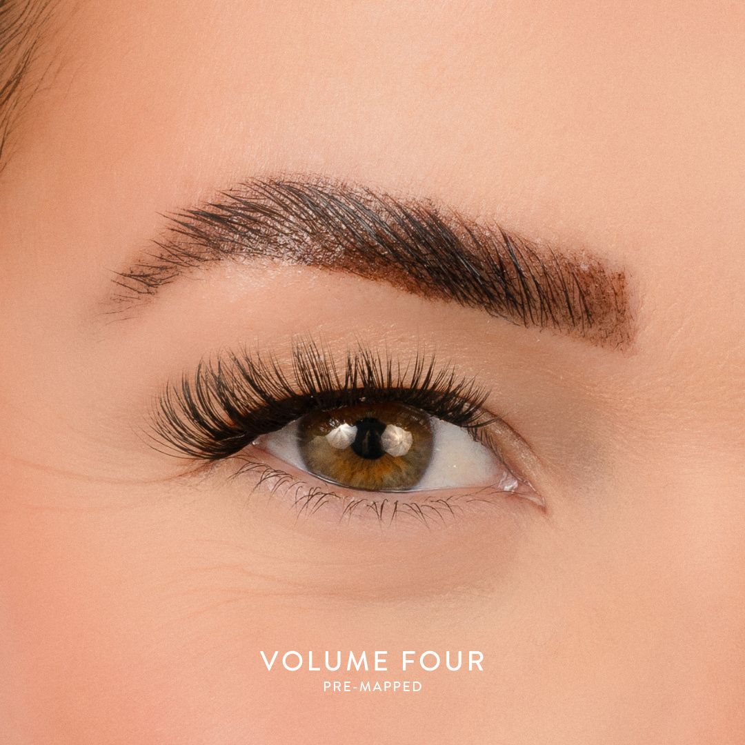 House of Amor Volume 4 - Pre Mapped Multipack