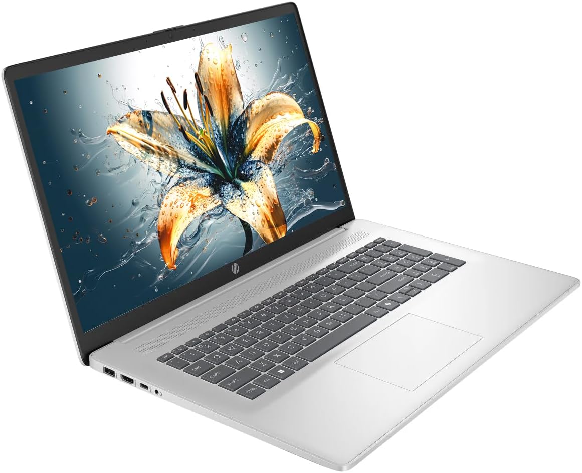 HP 17 Laptop  17.3 HD+ LED Anti-Glare Touchscreen Business Laptop Computer  Windows 11 Laptop 32GB RAM 1TB SSD  AMD Ryzen 5 Processor  AMD Radeon Graphics  Numeric Keypad  NLY Earphones  Silver