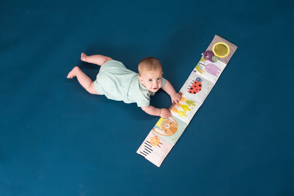 Kinderbuch Taf Toys