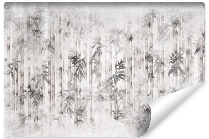 Fototapeta Liście Bambusa Na Betonie 90x60cm