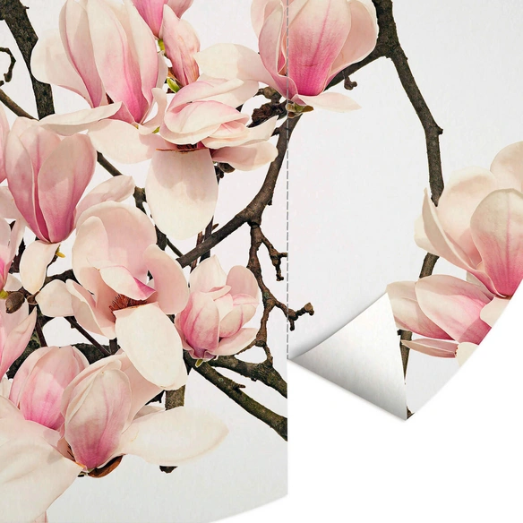 Vliestapete »Runde Vliestapete«, Kadam Rosa Magnoliae, mehrfarbig, matt