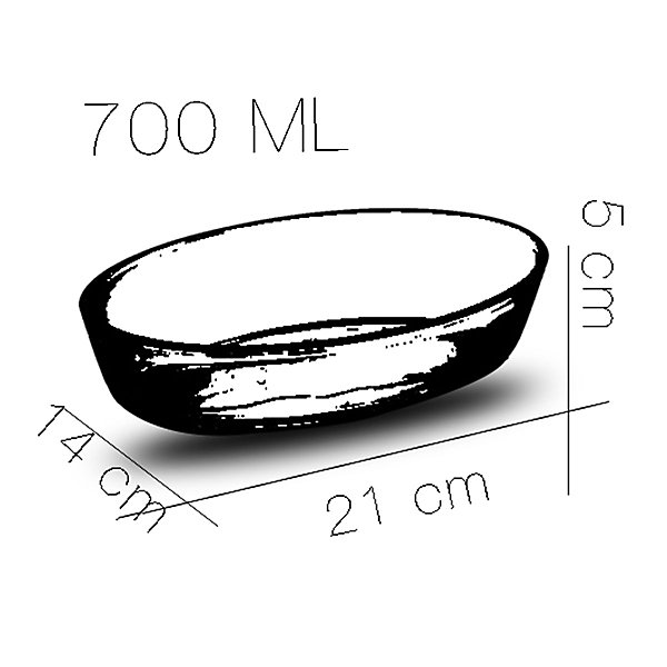 Lot de 2 plat à four oval transparent, moule de cuisson en verre, capacité 700 ml - Longueur 21 x Profondeur 14 x Hauteur 5 cm