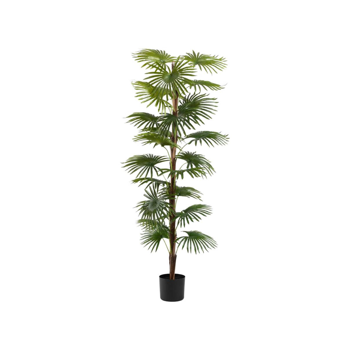 Roślina sztuczna TROPICAL ZONE palma wysoka 150 cm HOMLA