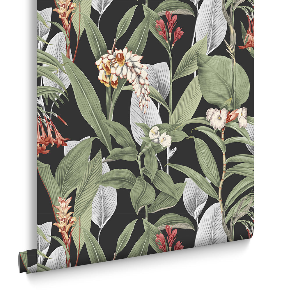 Graham & Brown Vliesbehang - Botanical Black - 10mx52cm