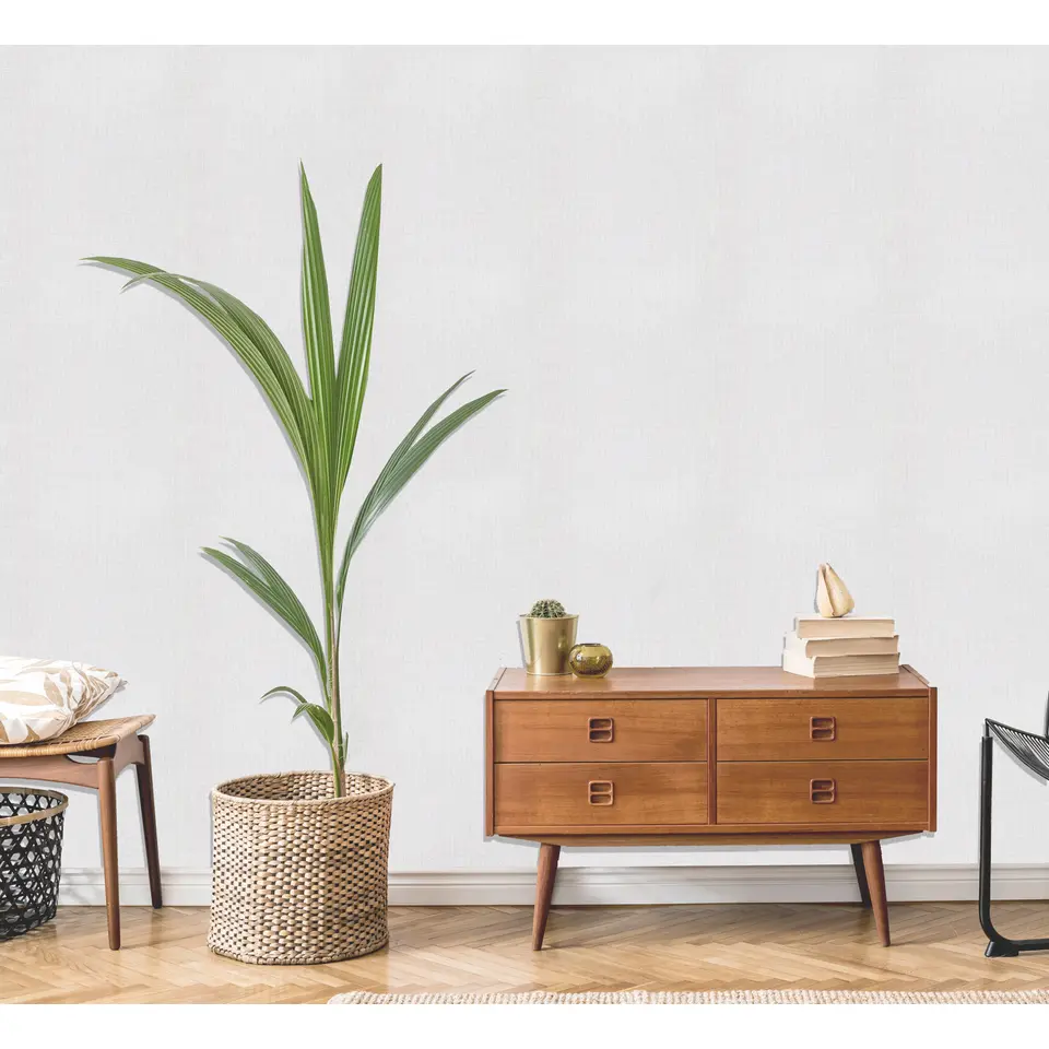 Dutch Wallcoverings - More Textures uni structuurtje wit - 0,53x10,05m