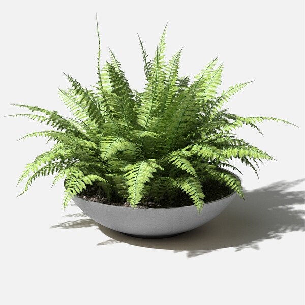 Veradek Pure Series Lane Bowl