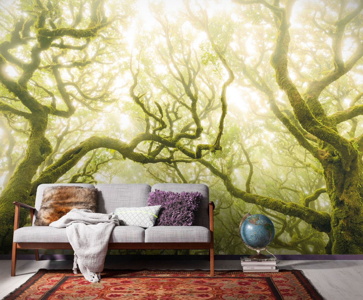 Sanders & Sanders fotobehang bos groen - 400 x 250 cm - 612519
