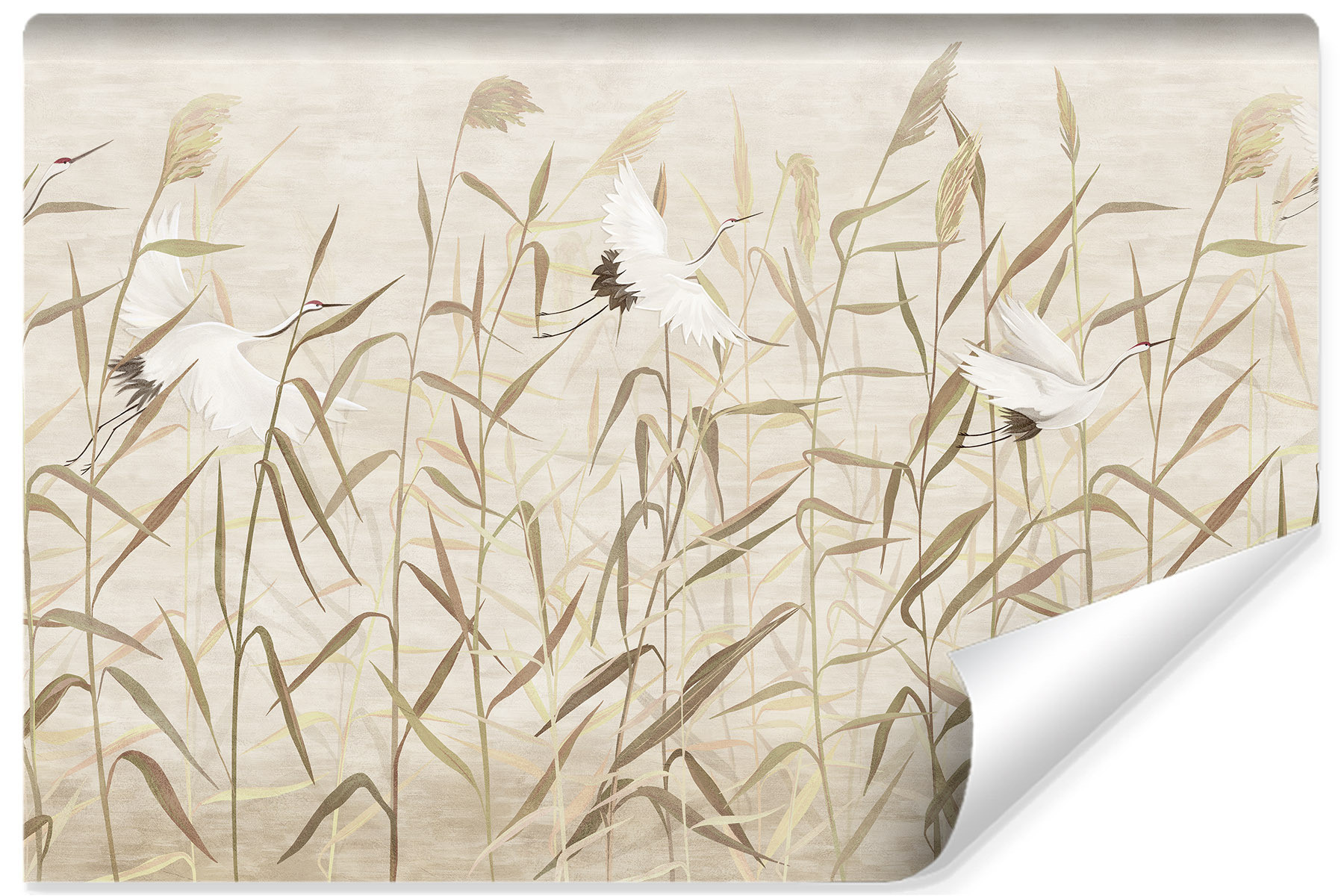 Fototapeta Ścienna ŻURAWIE Rośliny Natura 90x60cm