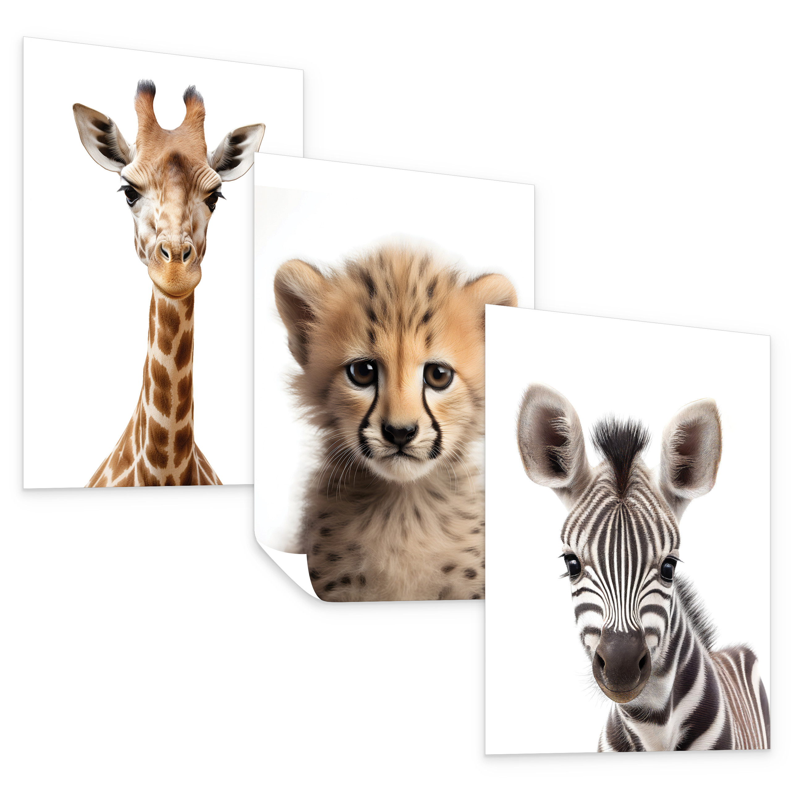 Plakat Dzikie zwierzątka SET 3x A4