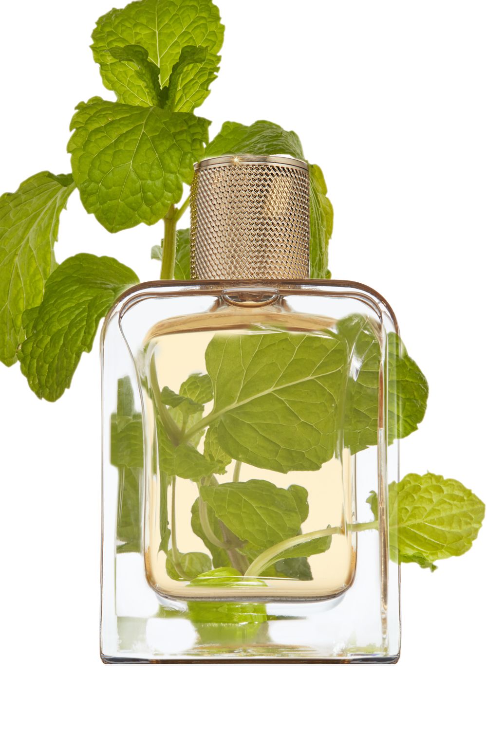 Veronique Gabai Vert Désir Eau de Parfum 85ml