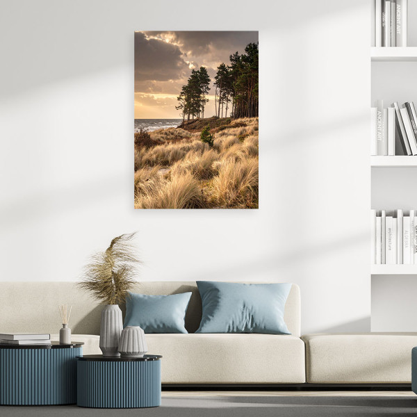 Obraz do salonu sypialni biura loftu, Widok Plaża Wydmy i Morze 20x30