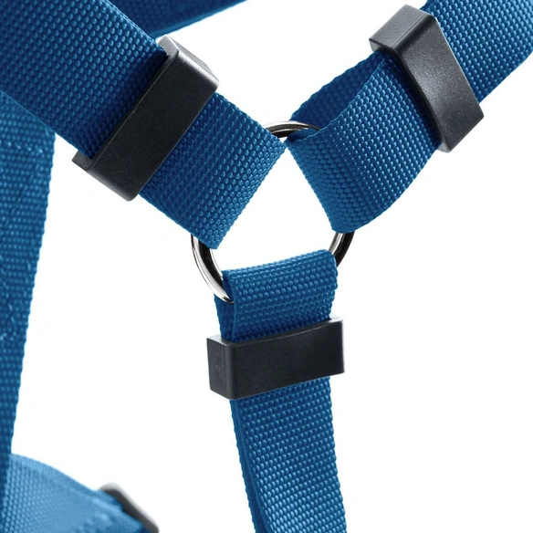 Geschirr »London«, XXS/3, Polyester, hellblau