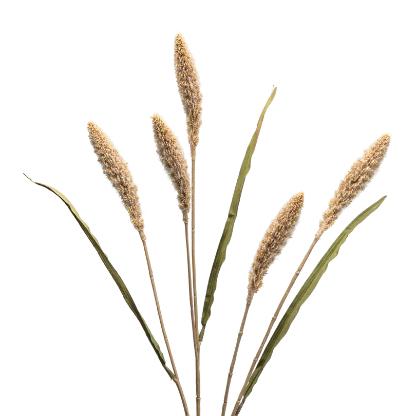Dekozweig Dried-Grass