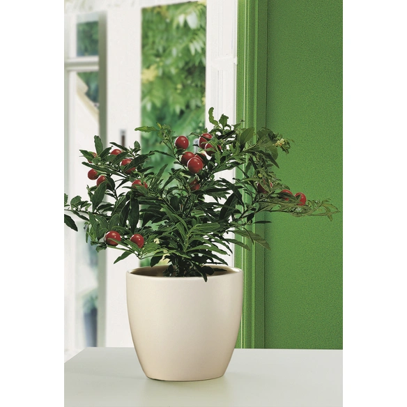 Übertopf, Breite: 13 cm, creme, Keramik