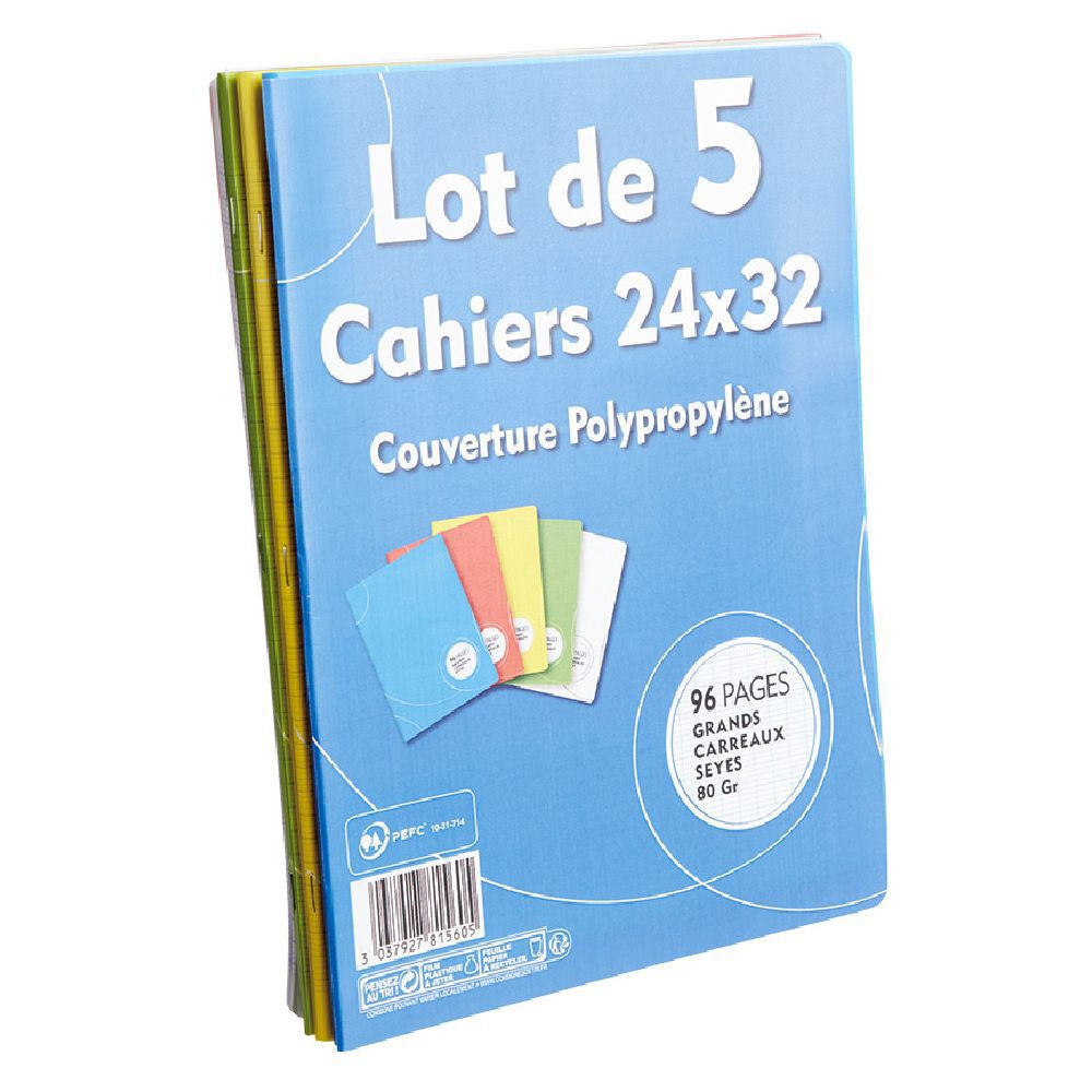 Cahier grands carreaux couverture rigide 96 pages 24x32cm x5
