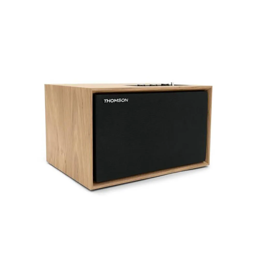 Thomson WS302 Portable Speaker