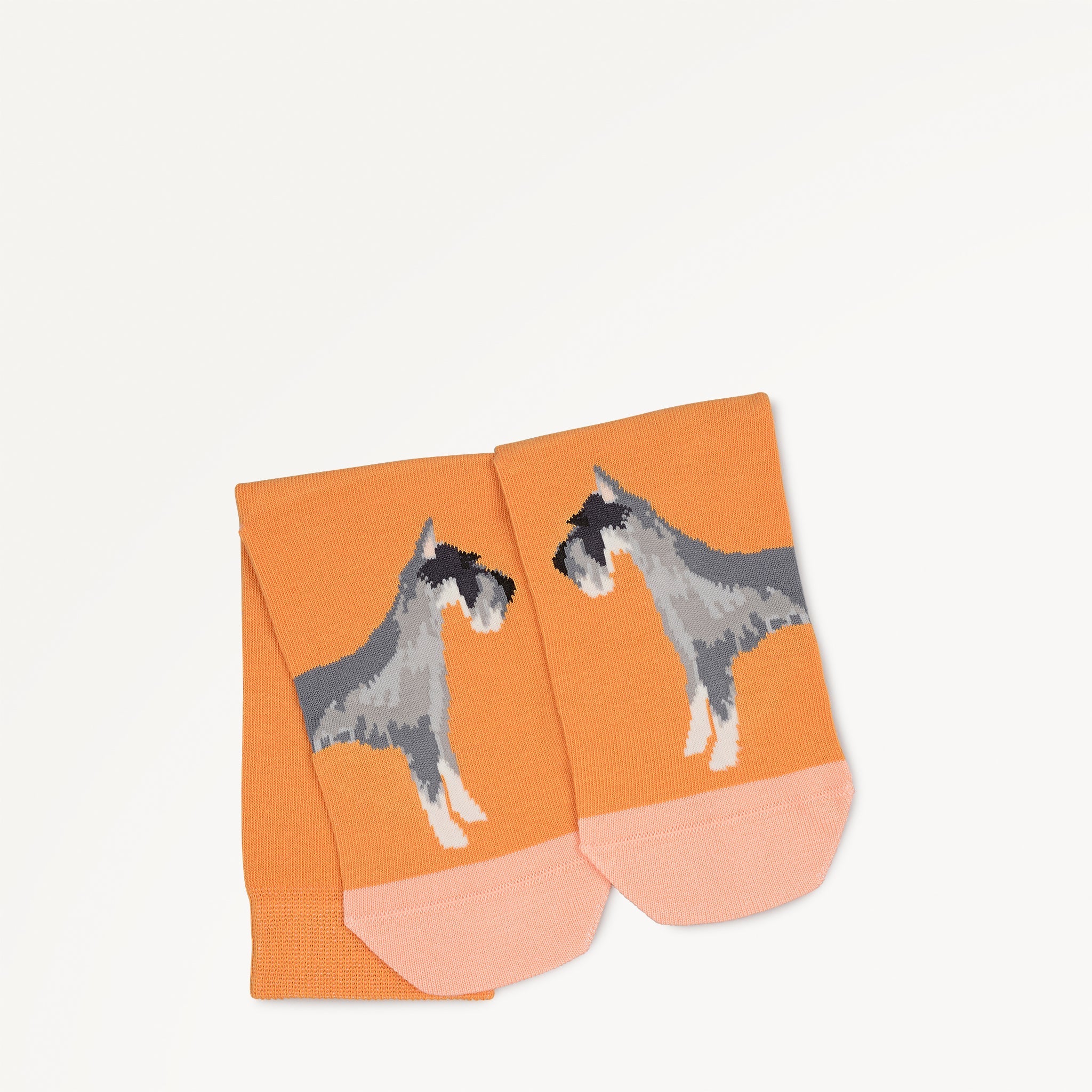 Radley & Friends - 1 Pack Socks