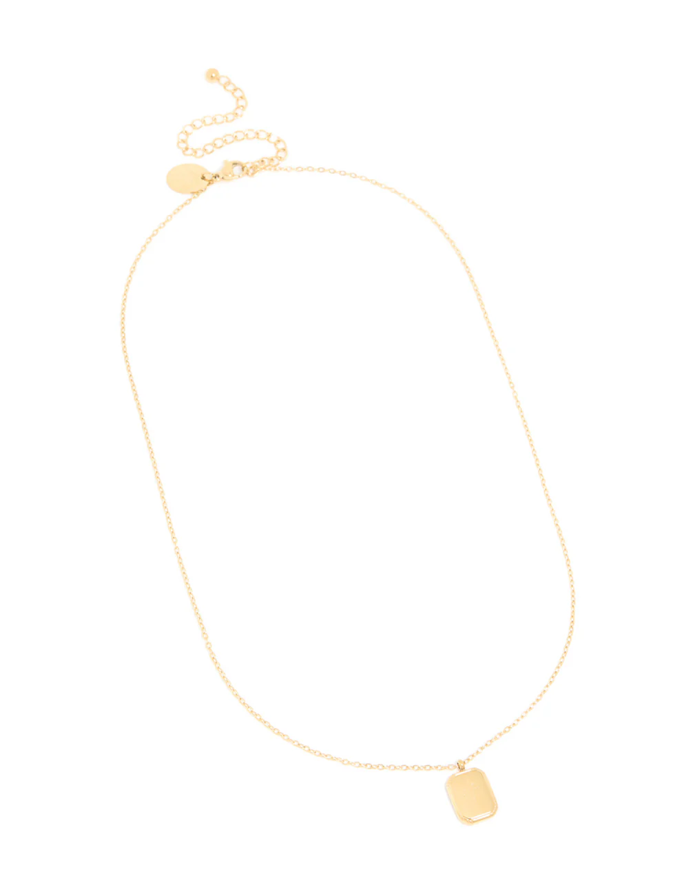 Waterproof Gold Plated Stainless Steel Birth Flower January Carnation Necklace