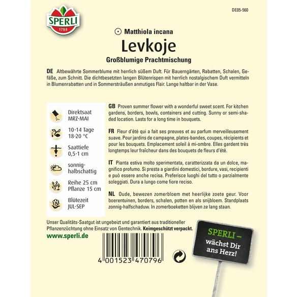 Levkoje »Großblumige Prachtmischung«, einjährig, süß duftende Blütenrispen, Höhe ca. 60 cm