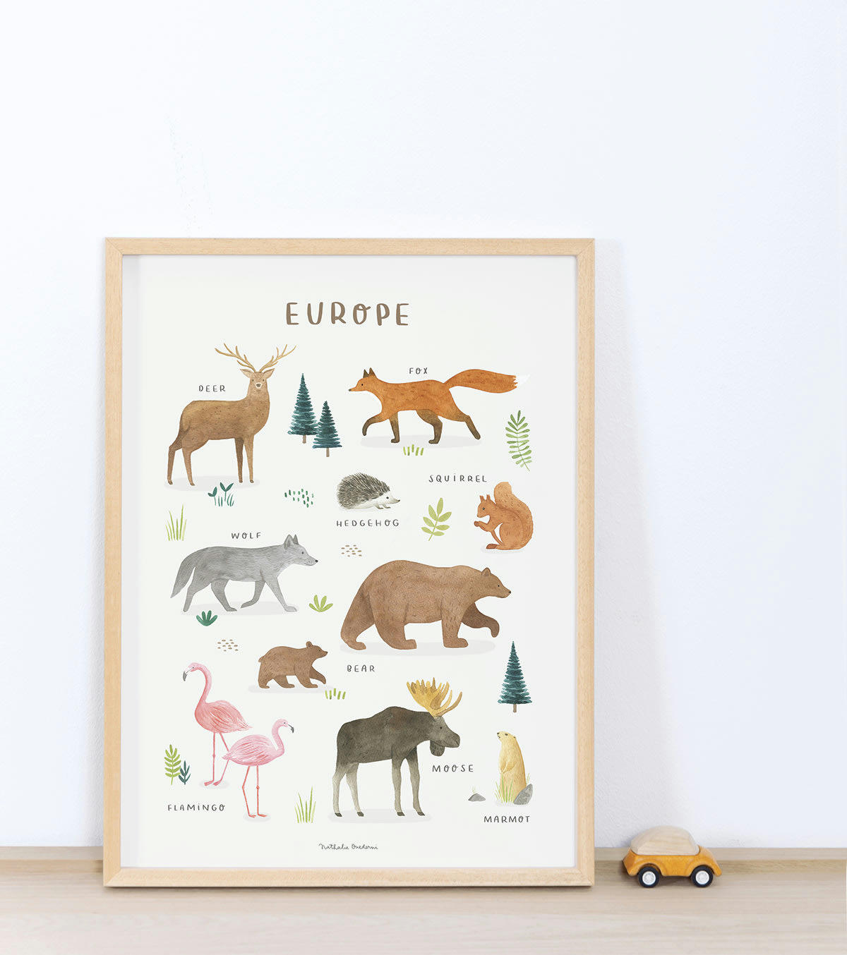 LIVING EARTH - Affiche Animaux d'Europe (30 x 40 cm)