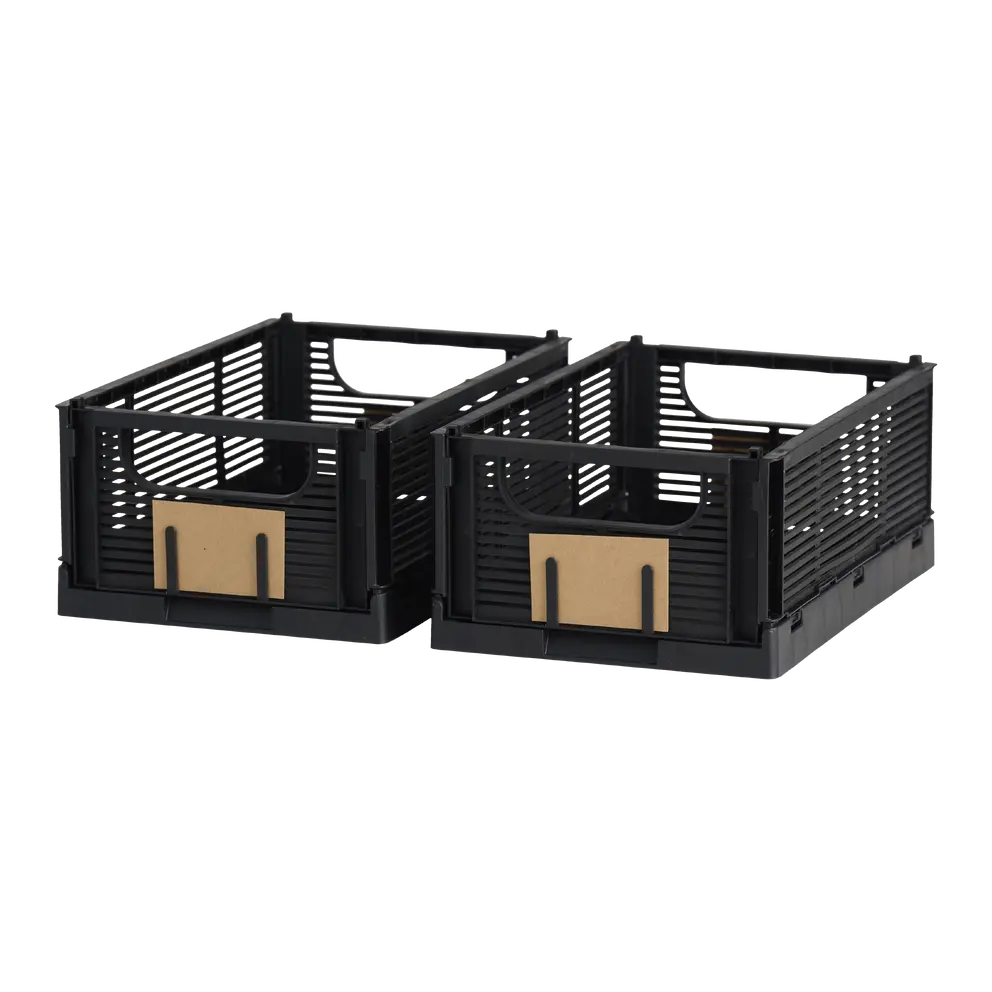 Klappbox Foldy