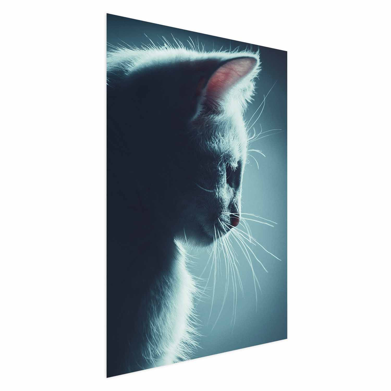 Plakat Nocny włóczęga 21x30 cm
