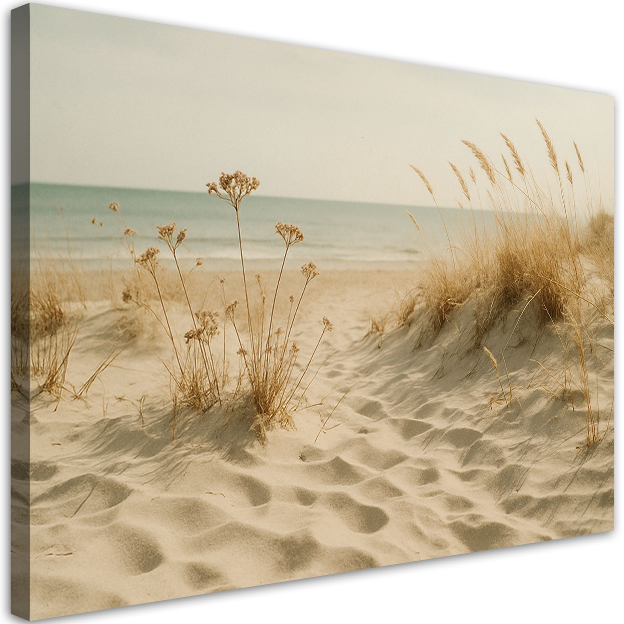 Obraz canvas do salonu sypialni, Plaża Morze Wydmy Shabby Chic 30x20