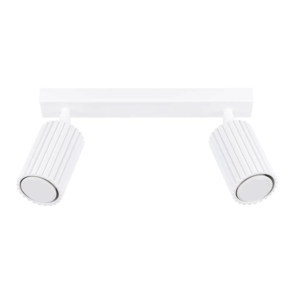 Plafondlamp Kalle 2-lichts