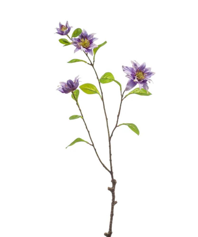 SNITTBLOMSTER EMERALD CLEMATIC 75CM LILLA