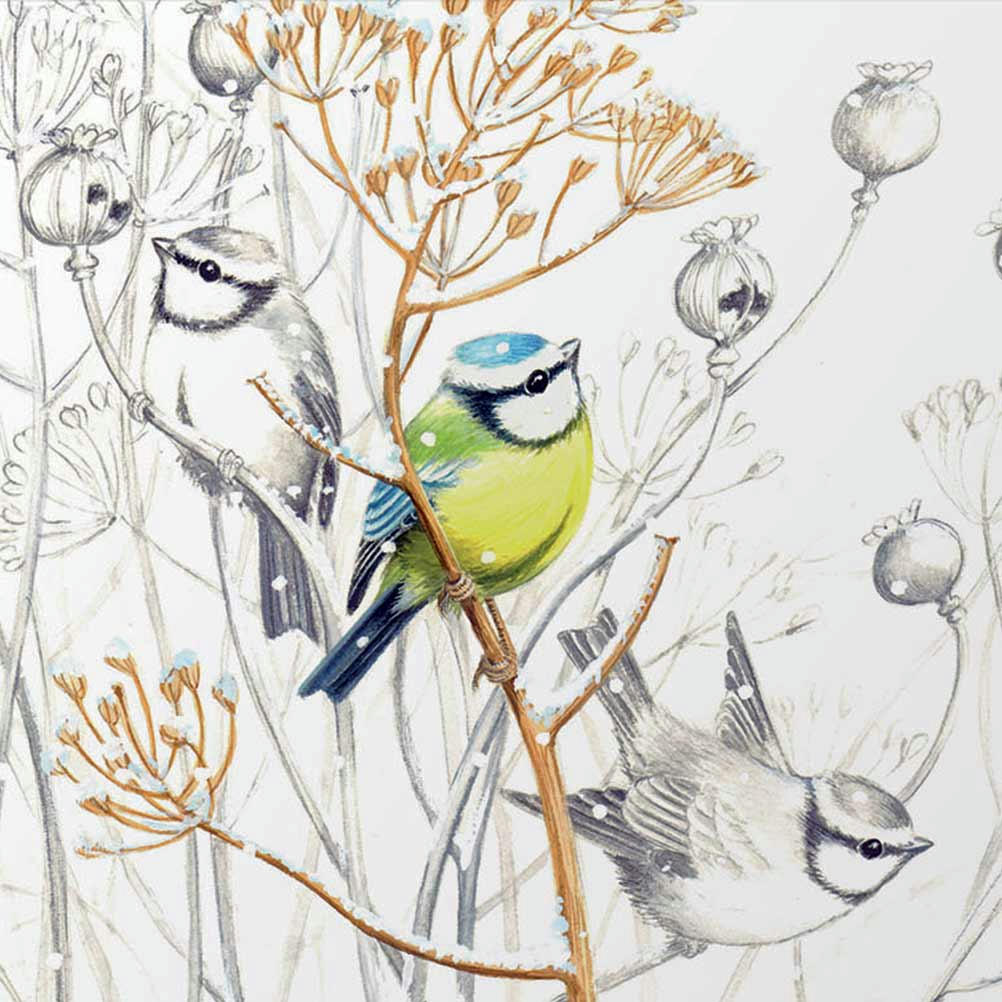 DOUX PETITS OISEAUX - Mini plateau vide poche rectangulaire