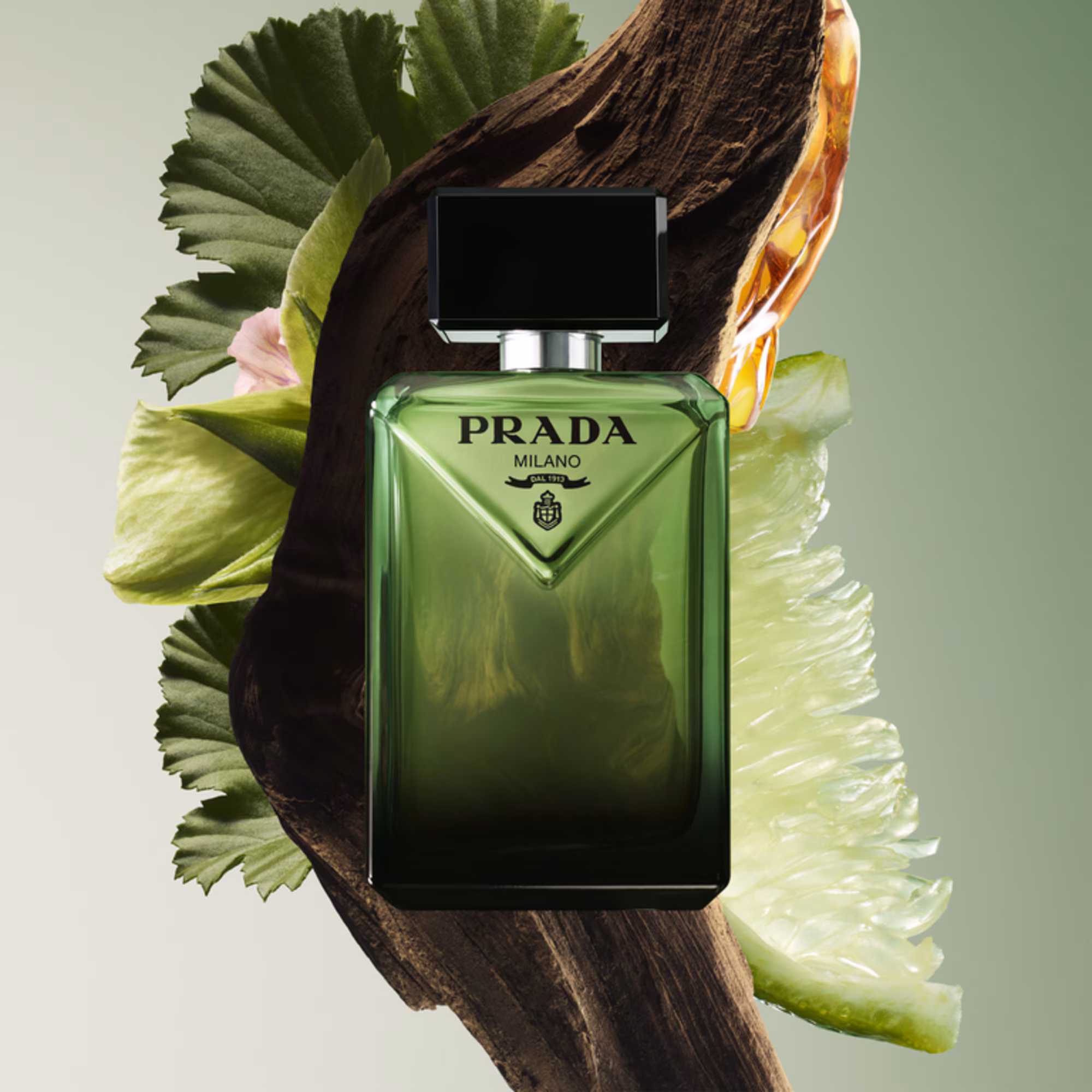 PARADIGMEEau de parfum - recharge
