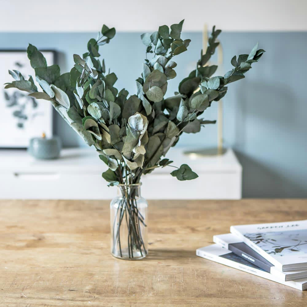 EUCALYPTUS - Botte de fleurs séchées eucalyptus cinerea stabilisé