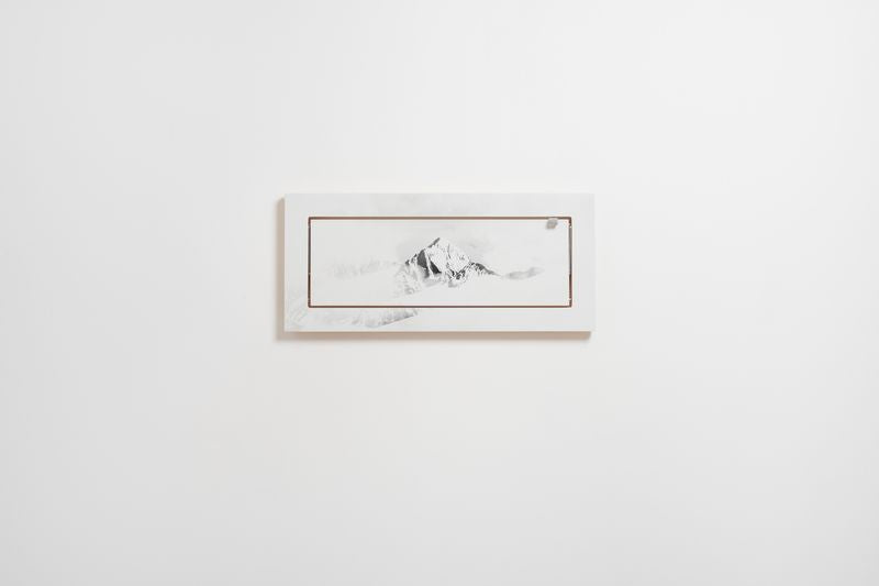 Fläpps plank 60x27-1 - Vallunaraju door Joe Mania