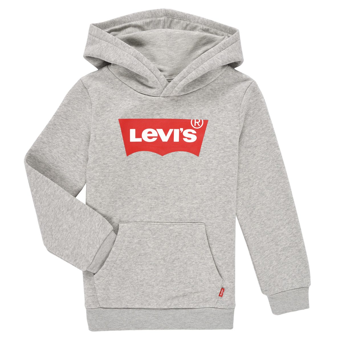 Levi's - BATWING SCREENPRINT HOODIE - Grey