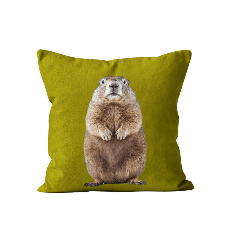 - Coussin déco animal marmotte vert velours 40x40cm
