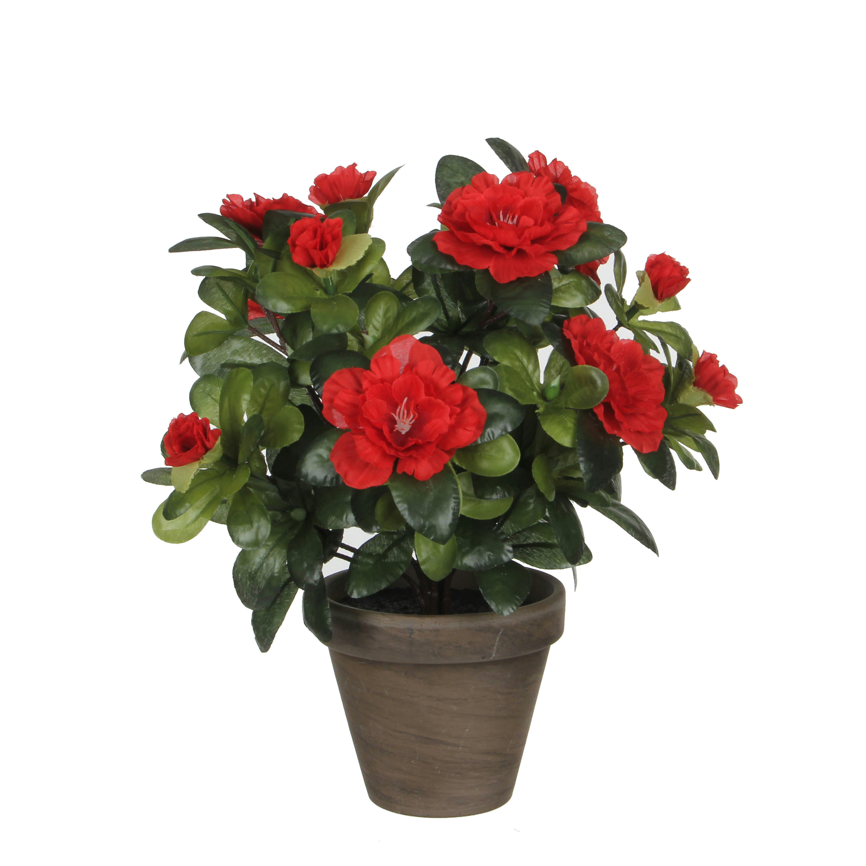 - Azalea artificielle rouge en pot H27