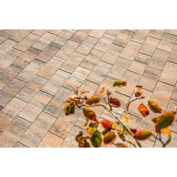 Betonplatte »Figuera«, Beton, Muschelkalk, LxBxH: 40 x 20 x 4 cm
