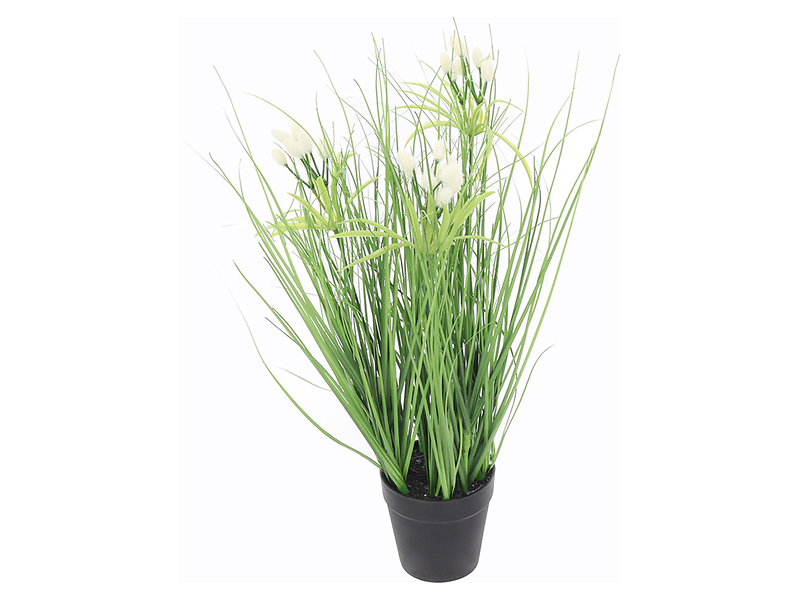 Trawa w doniczce 45 cm
