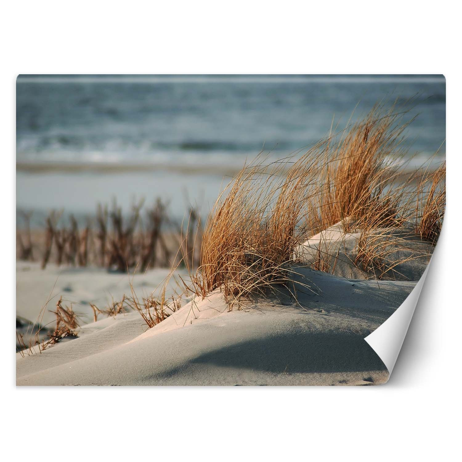 Feeby Fototapeta, Wydmy nad Morzem Bałtyckim 150x105
