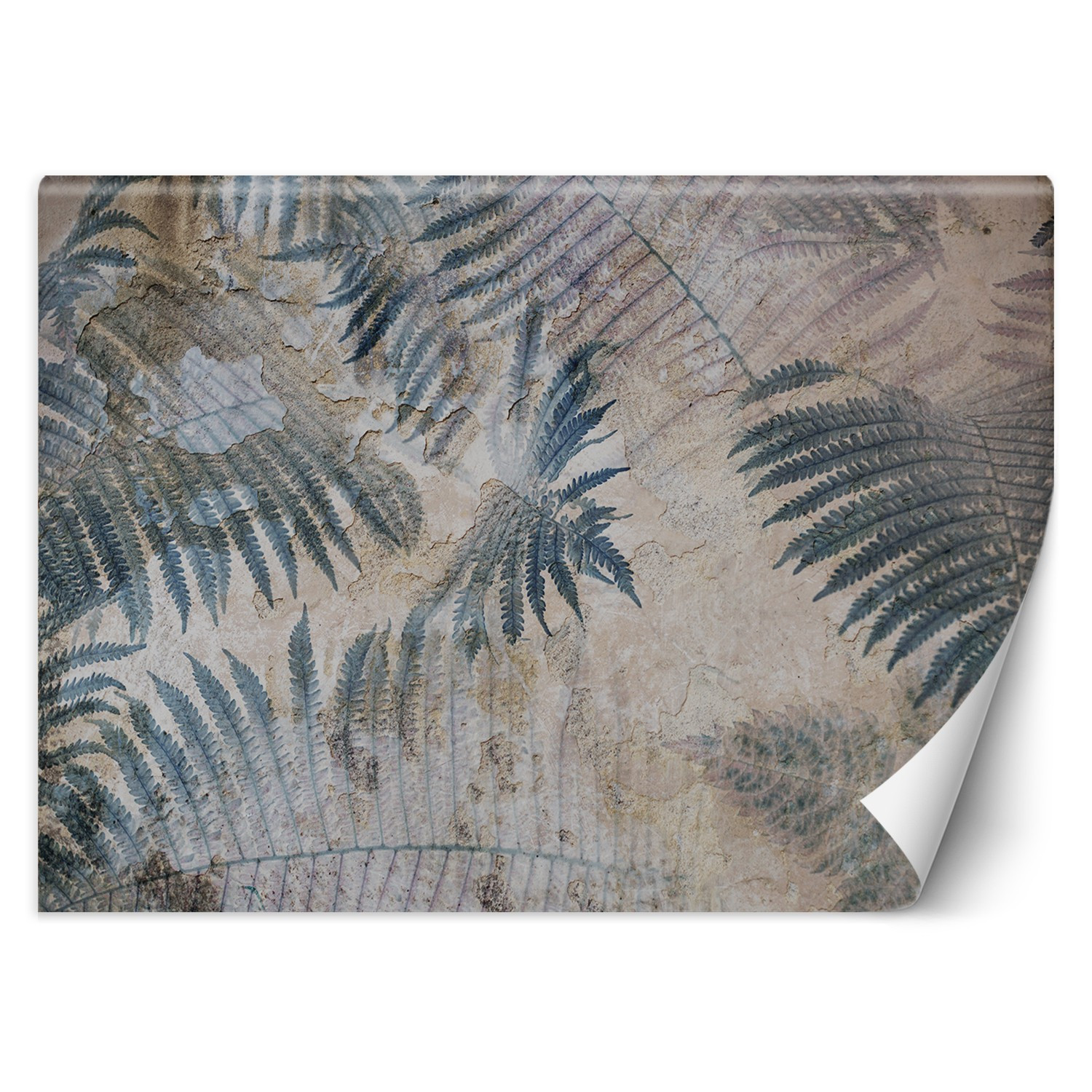 Feeby Fototapeta, Beton Paproć Liście Niebieski 150x105