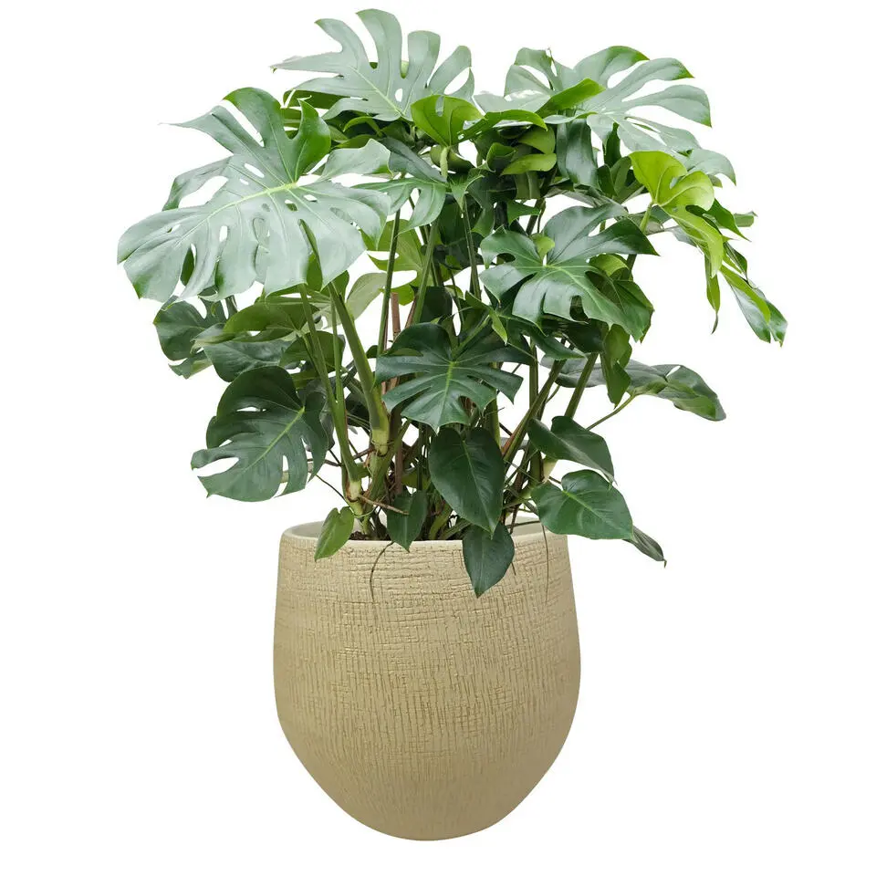 Ter Steege Plantenpot - moderne look - beige - 36 x 32 cm