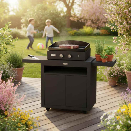 Combo plancha gaz Pure 260 sur chariot - Le Marquier